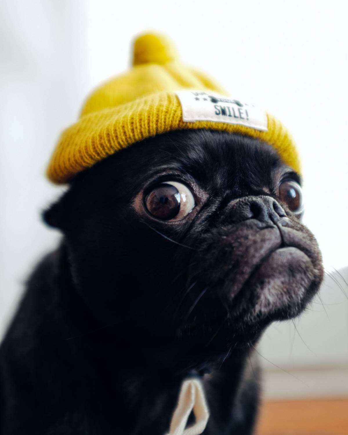 Maxcap administration example Privacy Policy